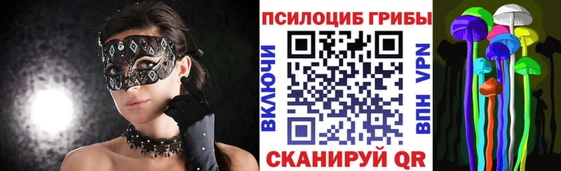 ОМГ ОМГ зеркало  Амурск  Псилоцибиновые грибы MAGIC MUSHROOMS 